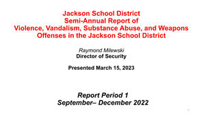 March 15 Violence and Vandalism Report